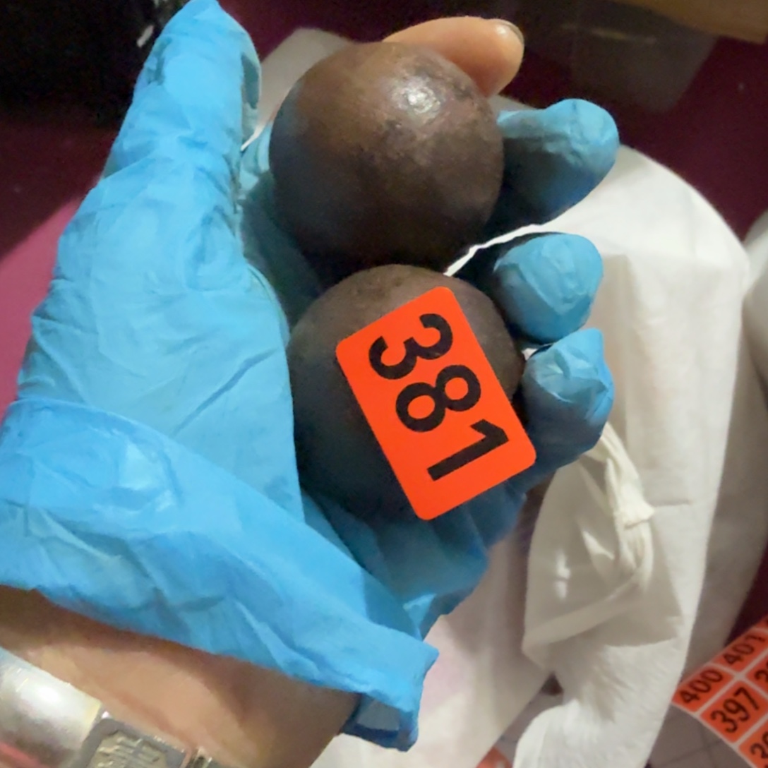 A***o杂色豆（科檀/科特迪瓦檀木）