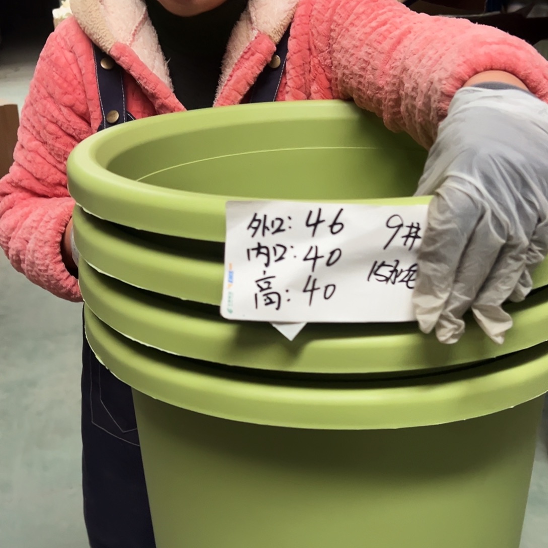 四季盆9#果绿色4个无托