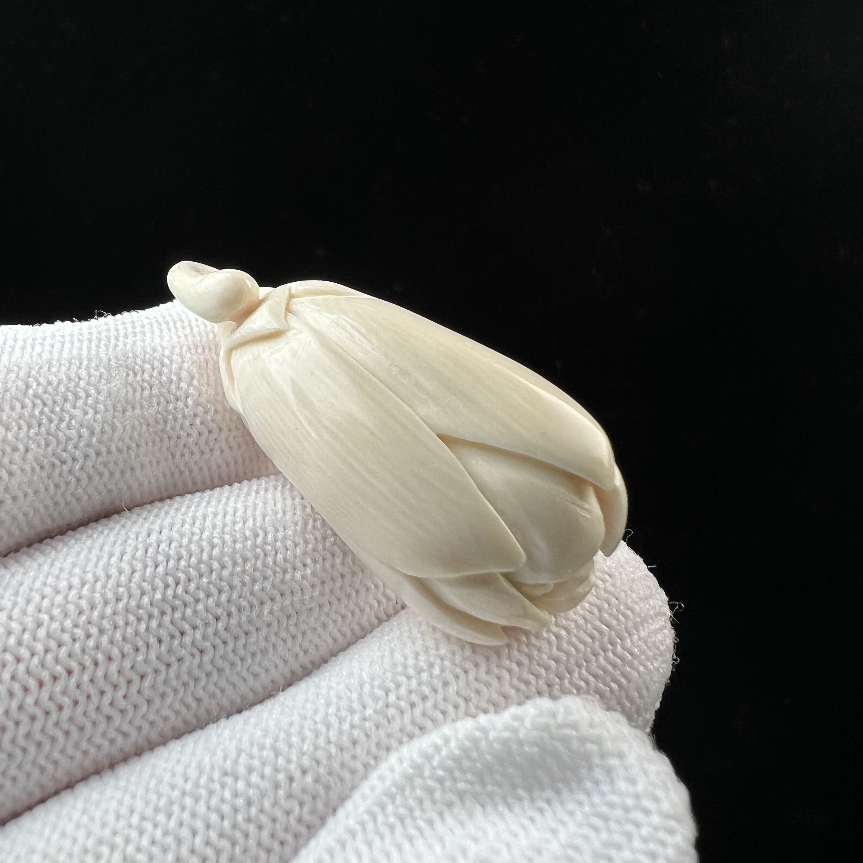 H96-22天然猛犸牙雕刻 玉兰花 16*41mm支持鉴定 假一罚四