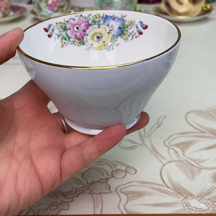 盘维多利亚欧洲中古