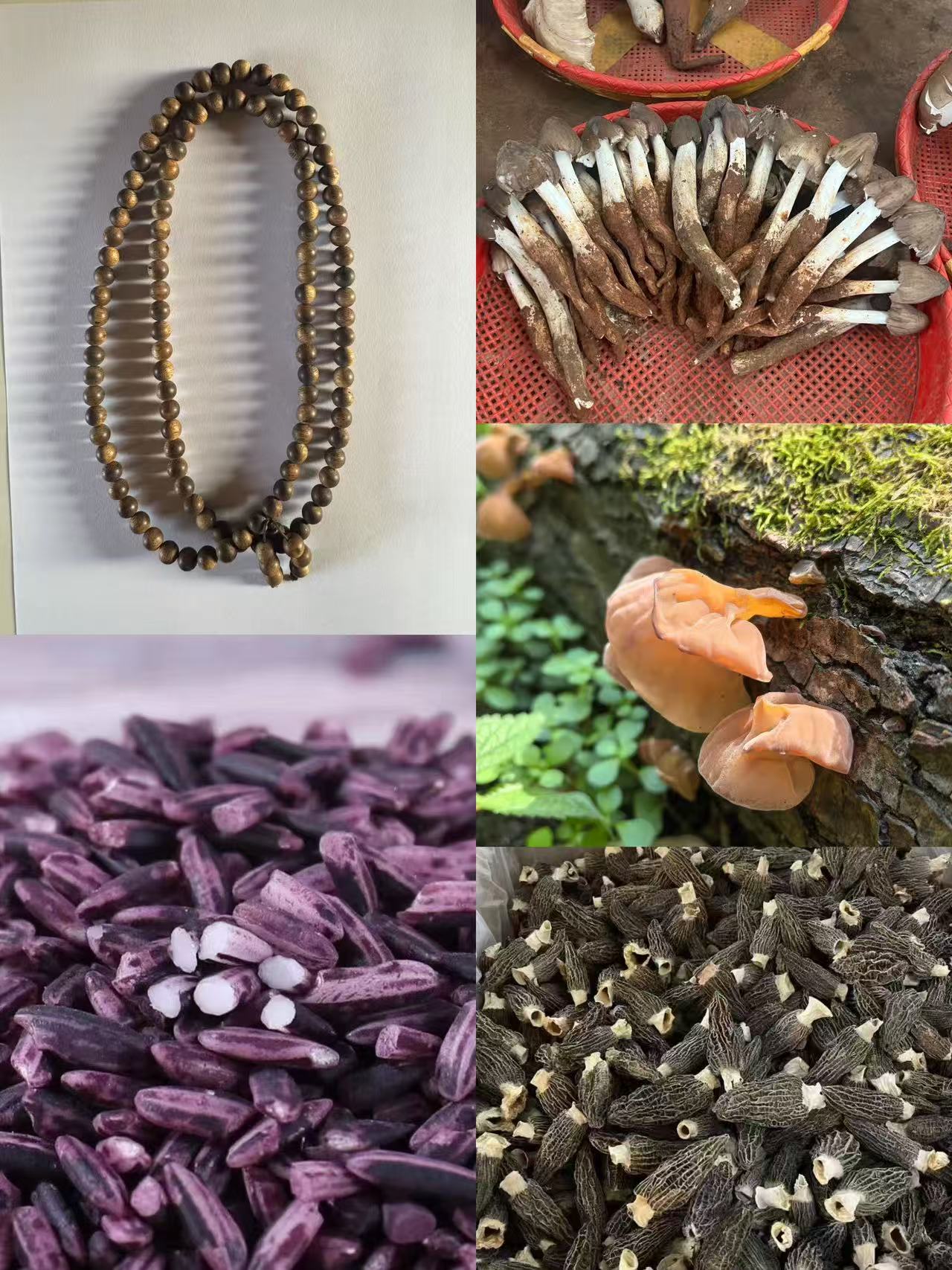 干货特产【专属土gc18号LJBQ】多样性发货