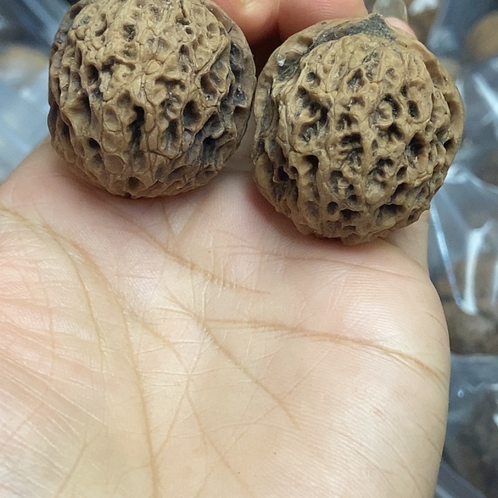 文玩核桃把件云南铁核桃基地10