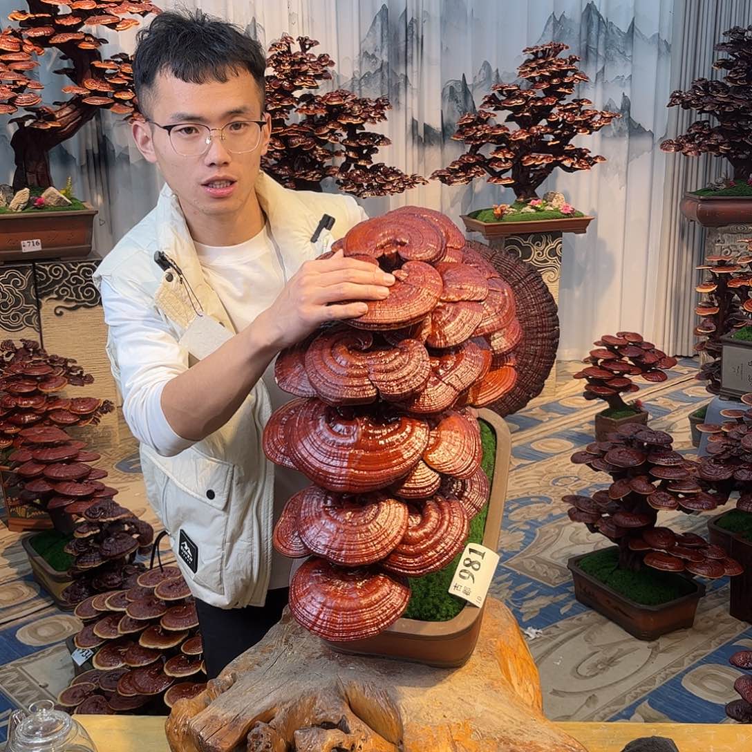 无花朵888888888888