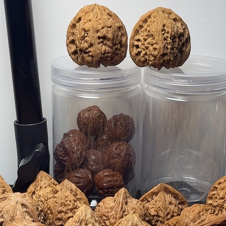 41全品涿鹿一代南疆