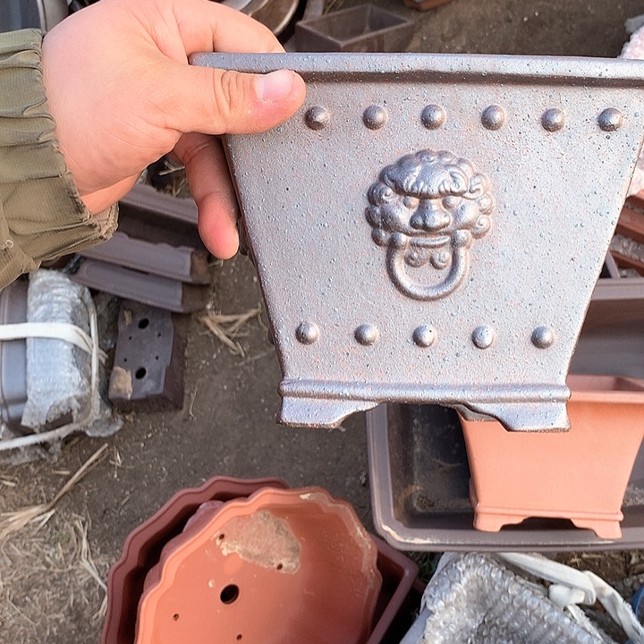 紫砂淘宝优惠券起单曲领