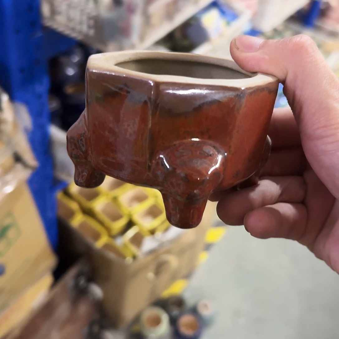 福利局库存尾单·有孔花盆当天满9元发