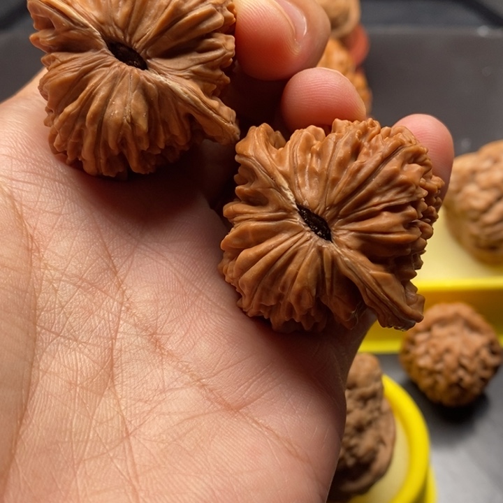 42尺全品精配四座楼