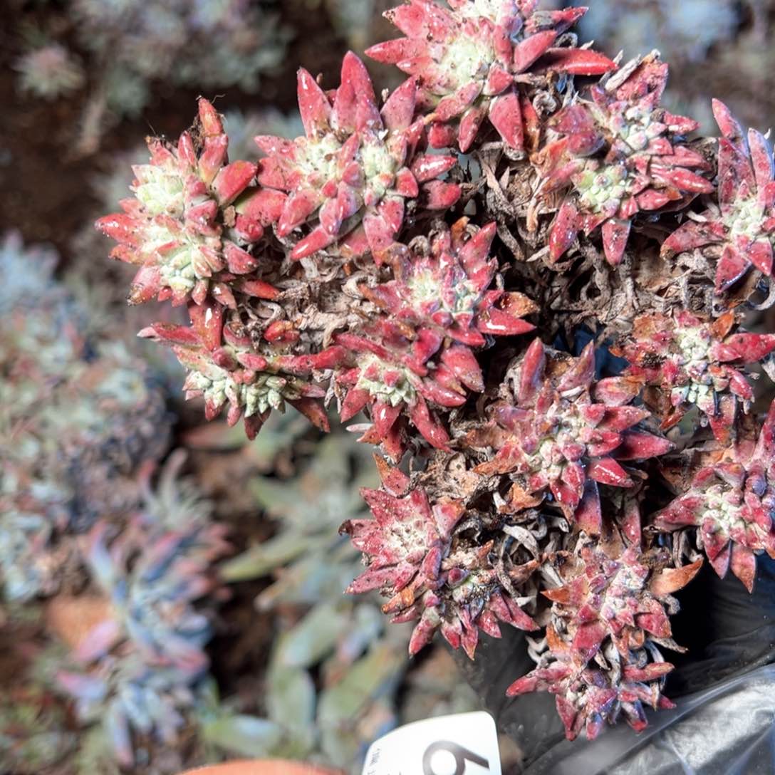 6628哈哈哈哈哈哈哈