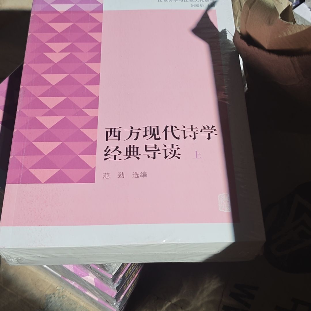 西方现代诗学经典导读两本一套