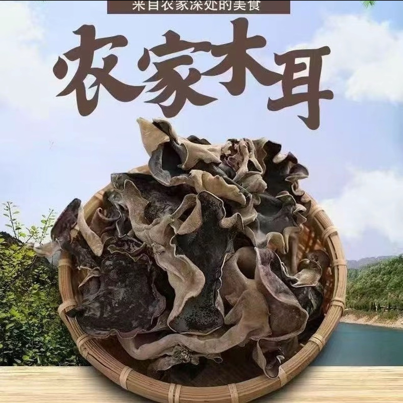 头茬木耳特产干货肉厚干净无沙好吃不腻共一斤装