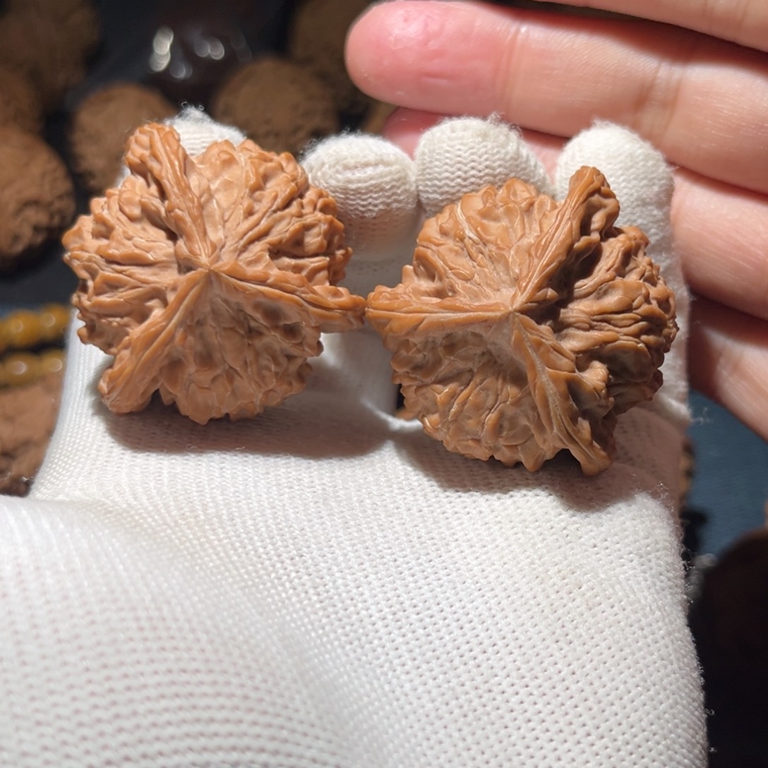 核桃41全品盘山正奔