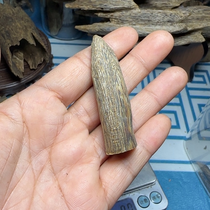 爱***8香粉沉水母树绿奇陆河虫漏吊坠5克