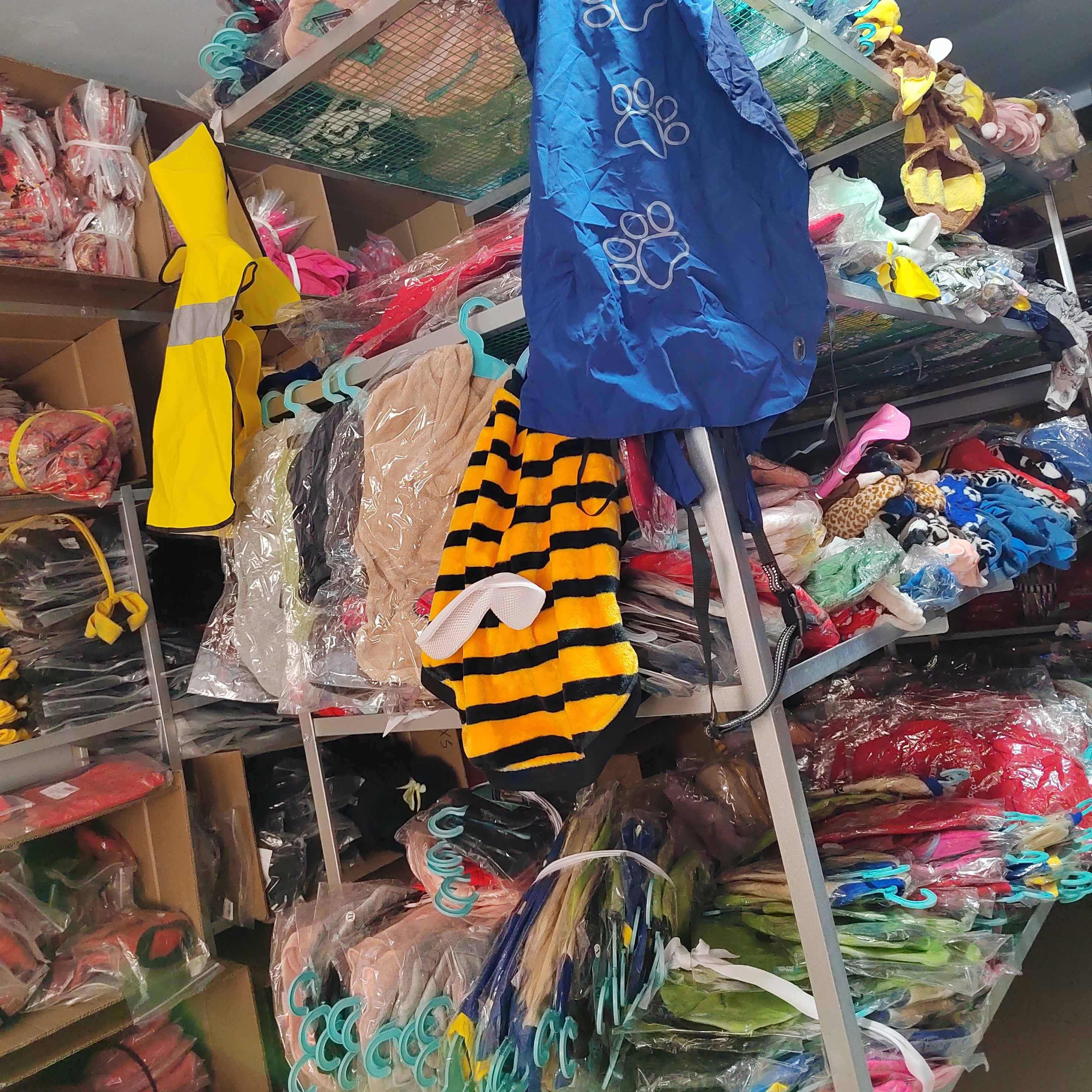 宠物服装直播间过款，一件包邮NO退NO换。