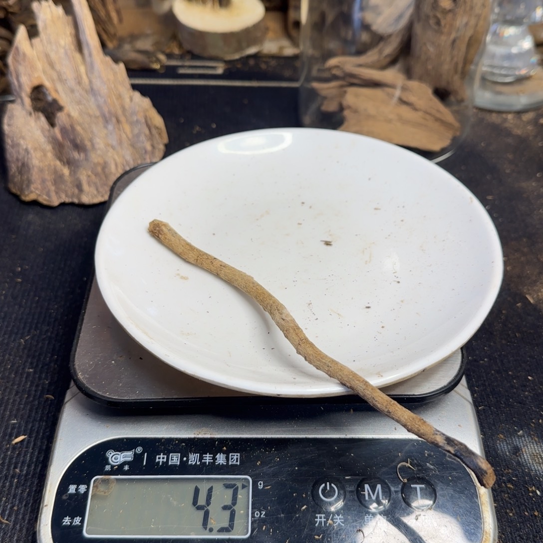 沉香碎屑沉香海南天然野生原母树树根4.3克