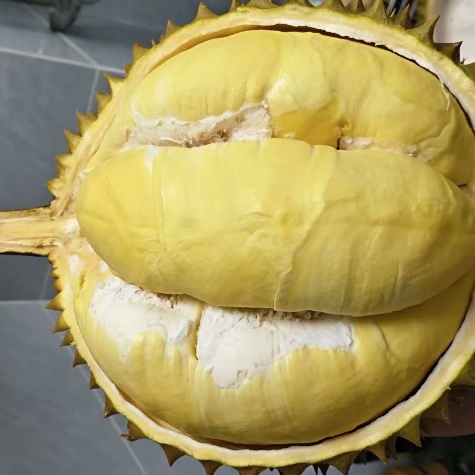 泰国新鲜金枕榴莲树熟核小9斤左右金枕泰国