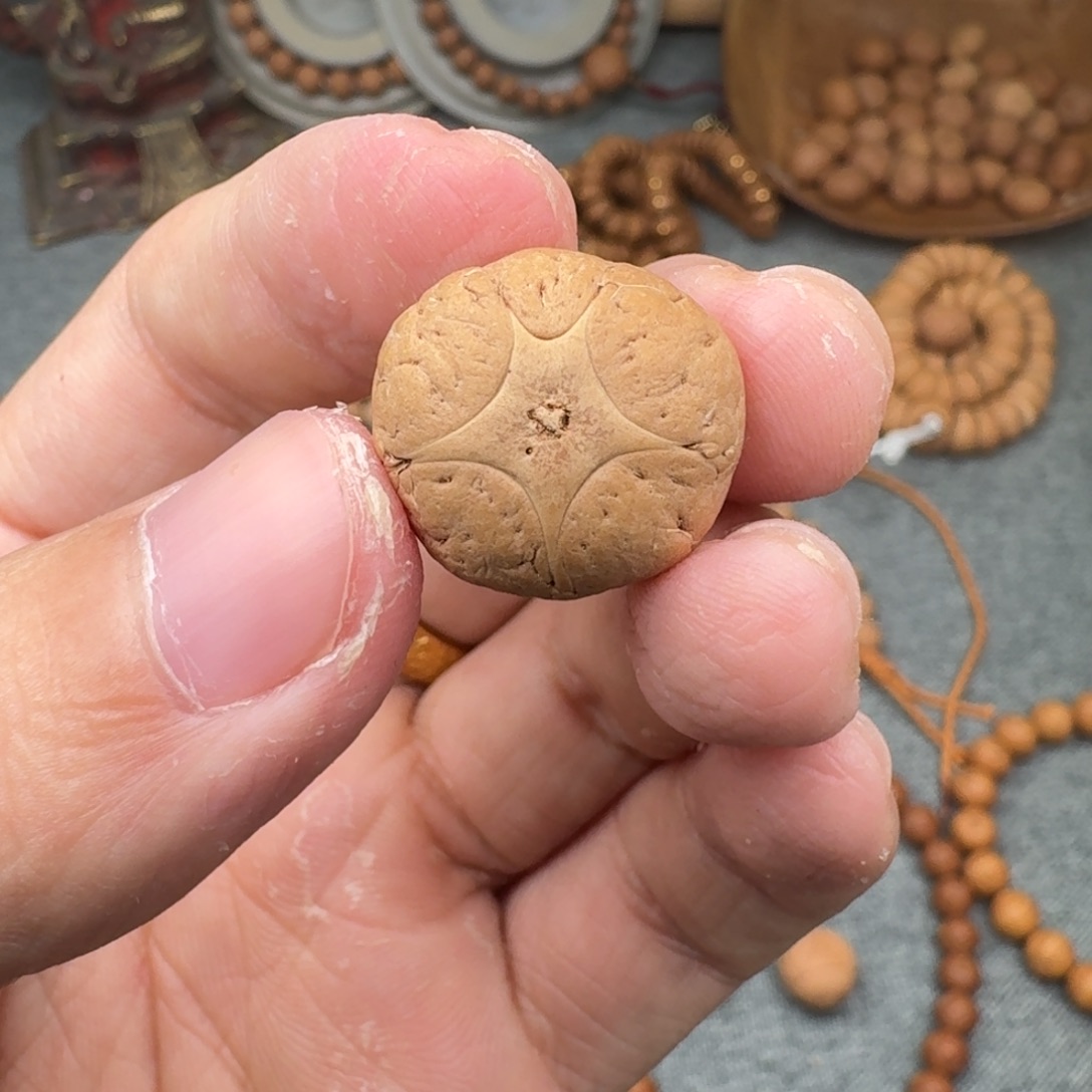 凤眼菩提吊坠19/13.8五星