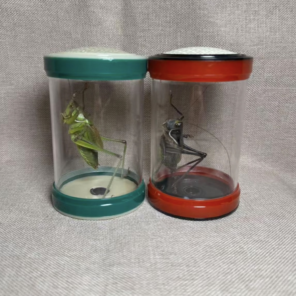 铁皮蝈蝈➕绿蝈蝈➕两个叫罐（顺丰包邮 偏远地区不包邮）