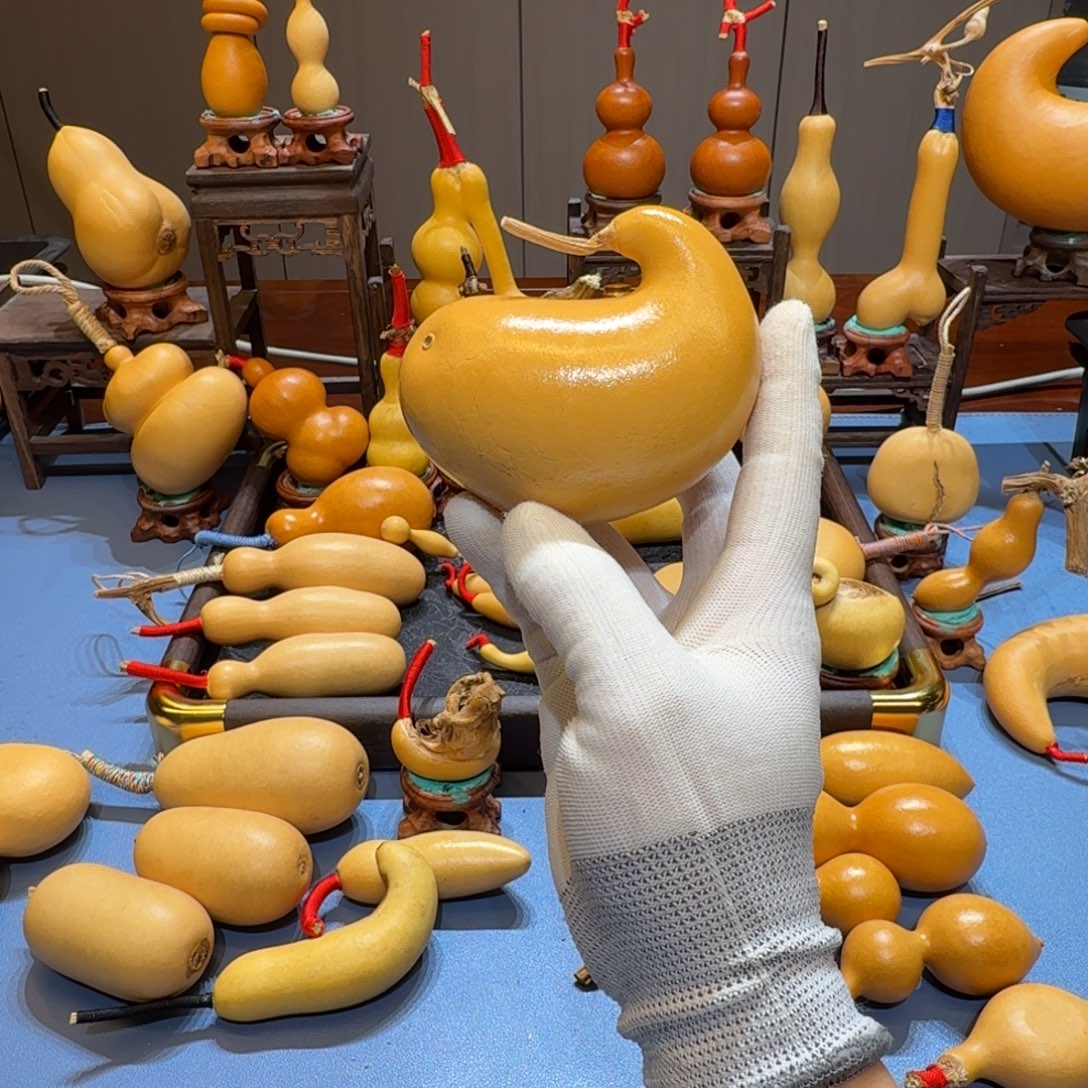 V***v葫芦啊啊啊啊啊啊啊啊