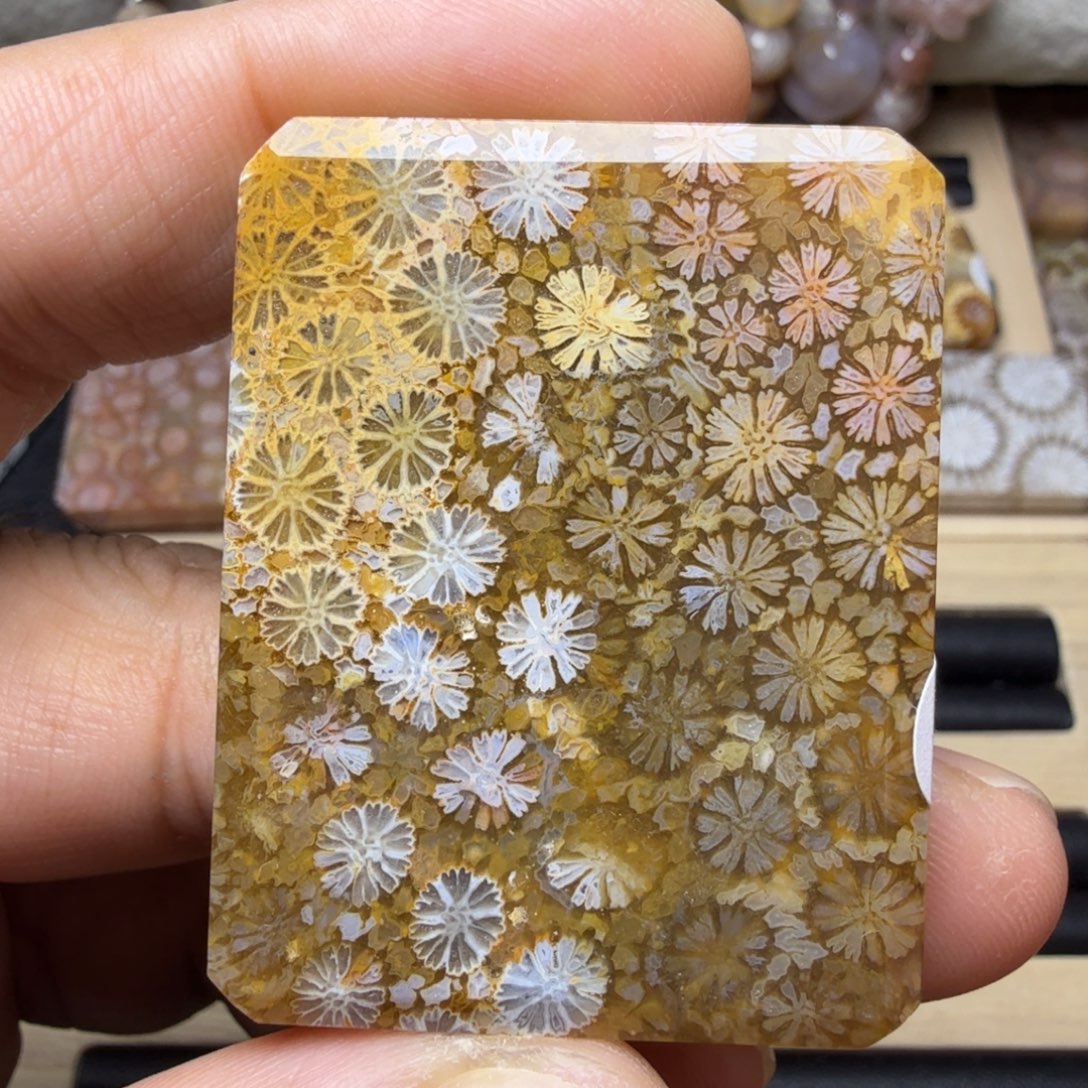 硅化玉未镶嵌天然色有机玉石保真色