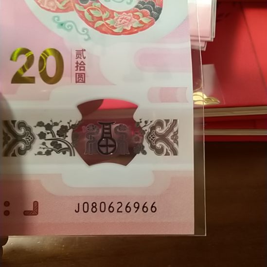 塑料蛇纪念钞 080626966