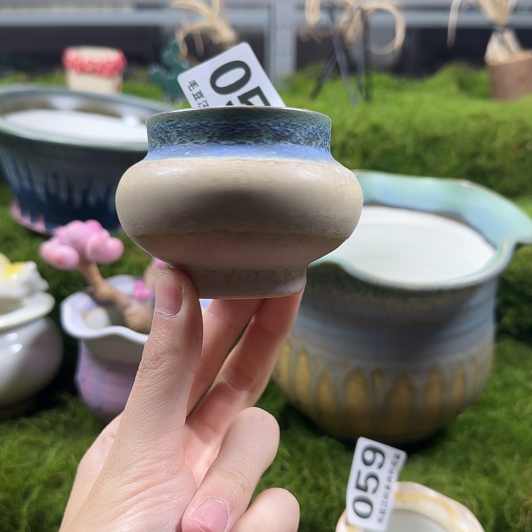 050 口5 默认微瑕花盆 