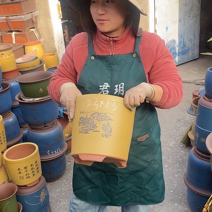 紫砂花盆盆栽花卉苗木种植