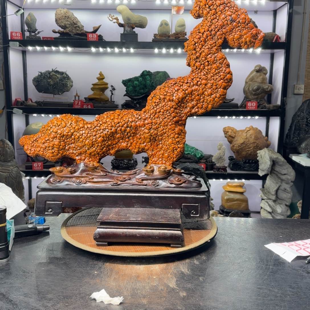 戈壁石胆奇石上一