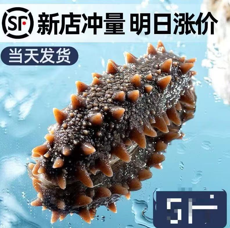 阿喳姐 即食款大连高刺嗨参 新鲜 开袋鲜优质滋补品