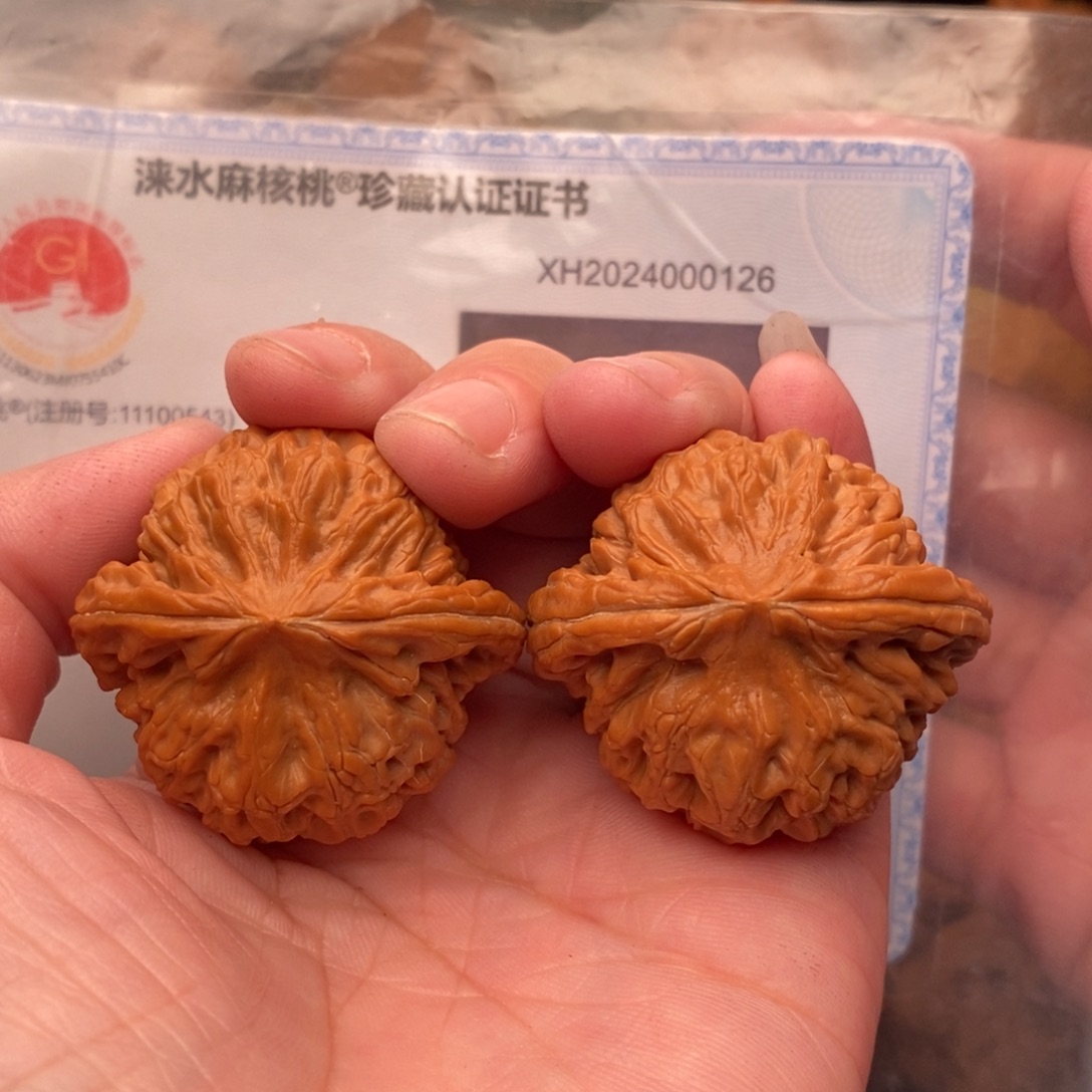 文玩核桃把件核王39