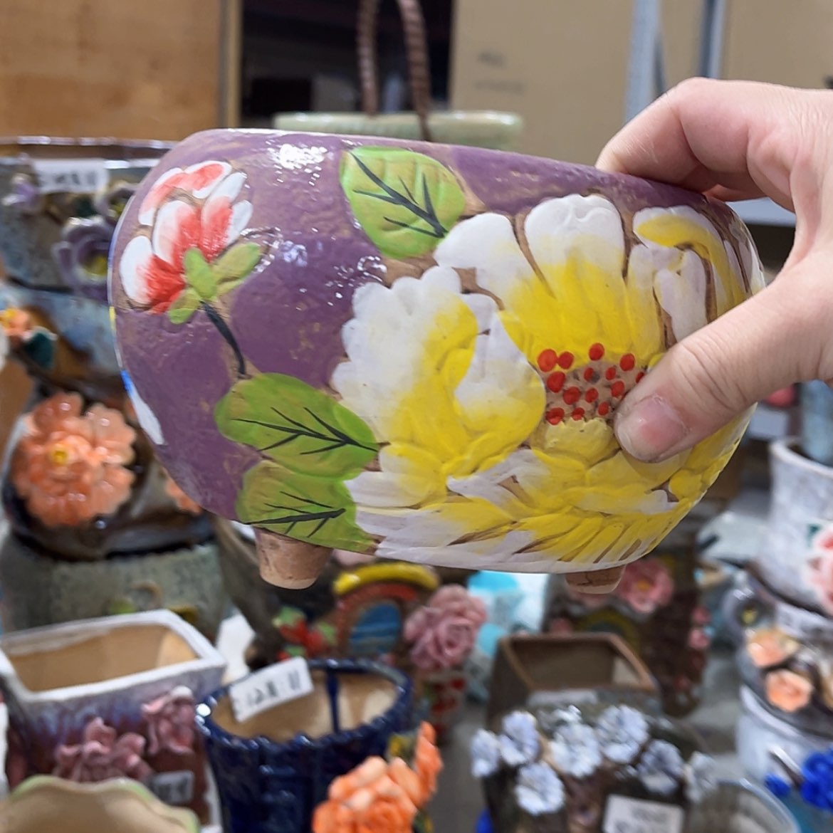 【闪购商品】红陶福利