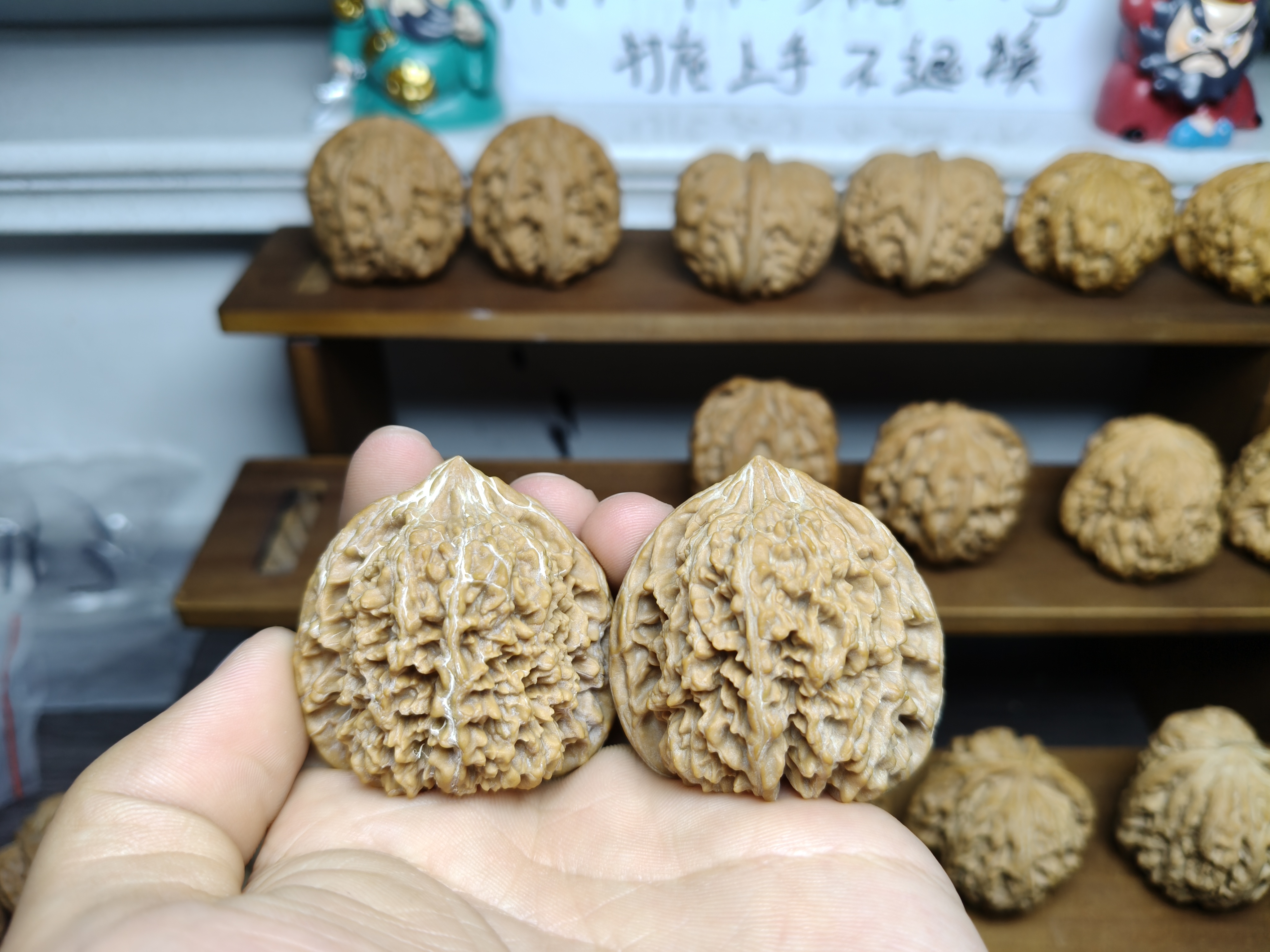 41+ 老款满天星 成熟度极高  手疗神器