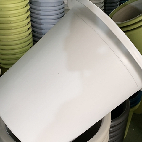 树脂四季8#无托纯白5个