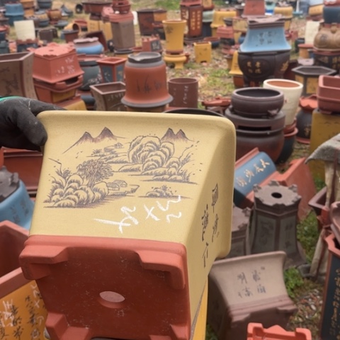 紫砂花盆紫砂花盆盆景盆栽