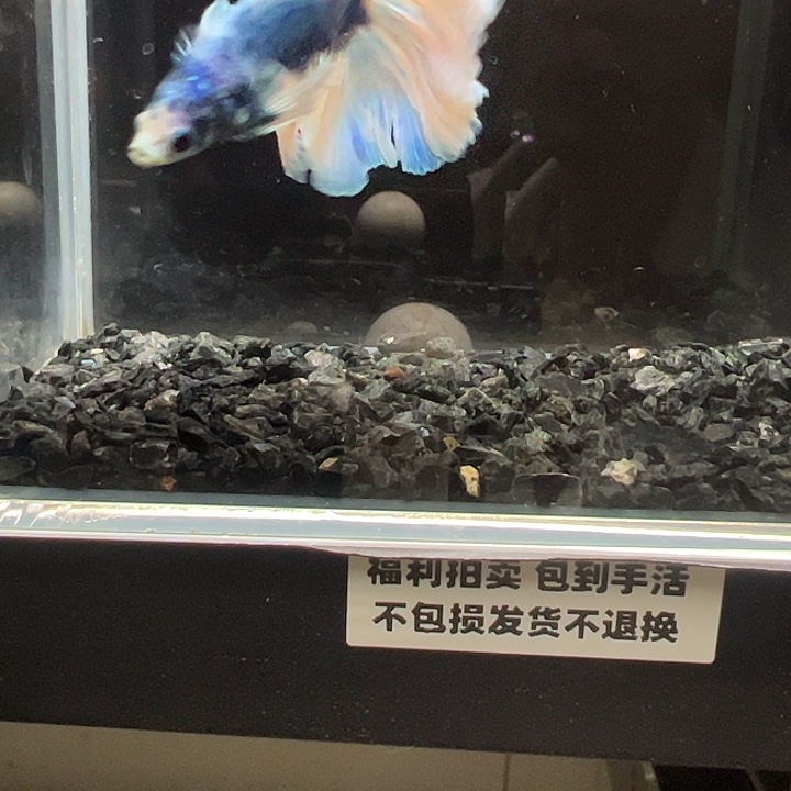 斗鱼跑单拉黑1日91