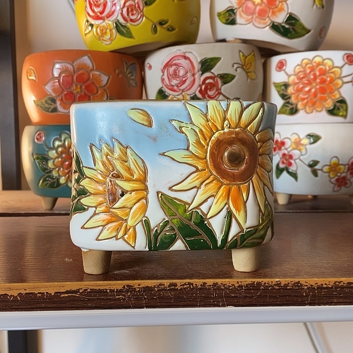 韩式多肉植物花盆