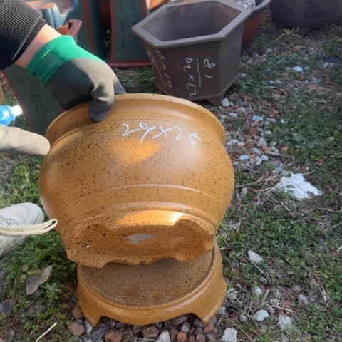 红陶紫砂花盆盆景盆栽