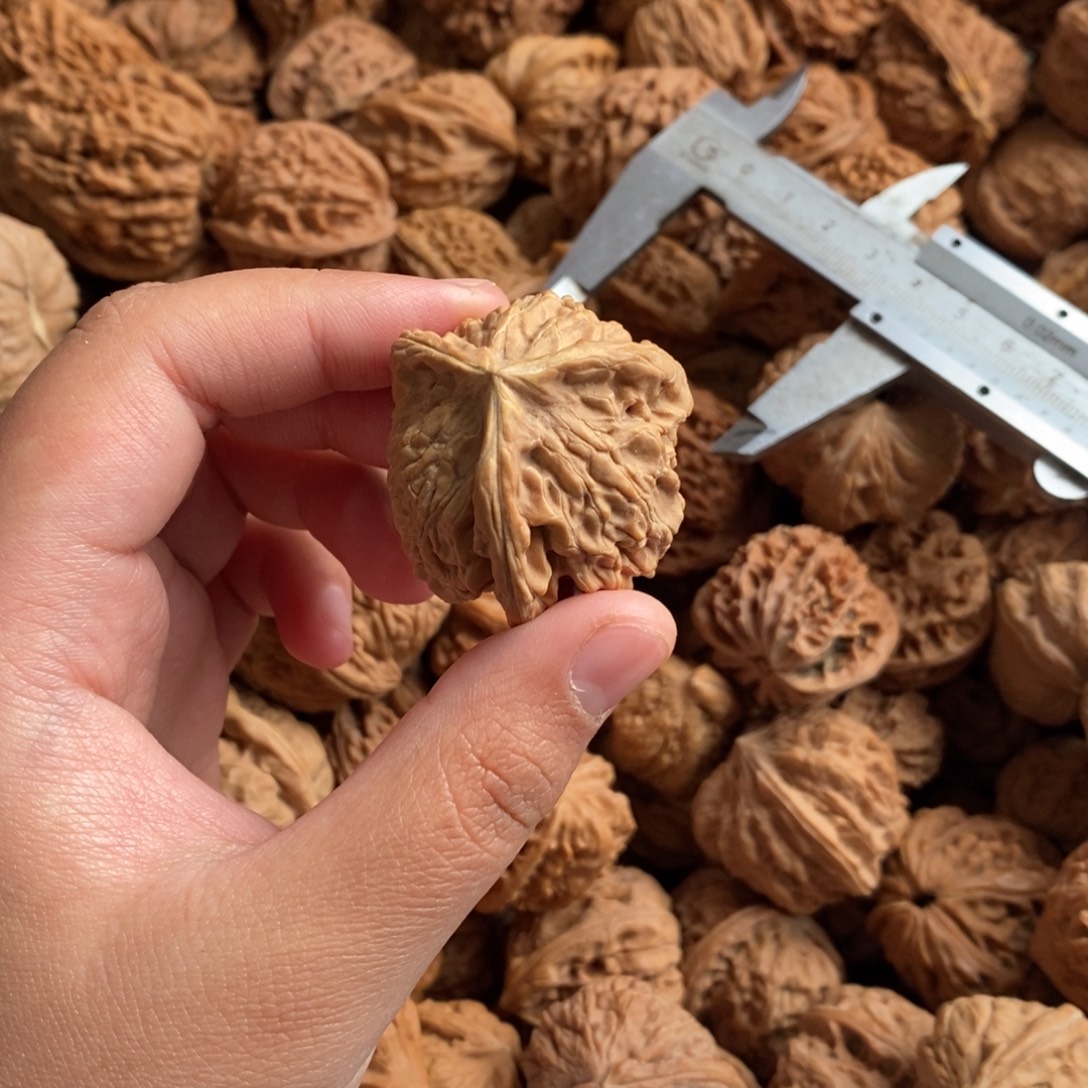 素***➹大叶紫檀（黑酸枝木类）