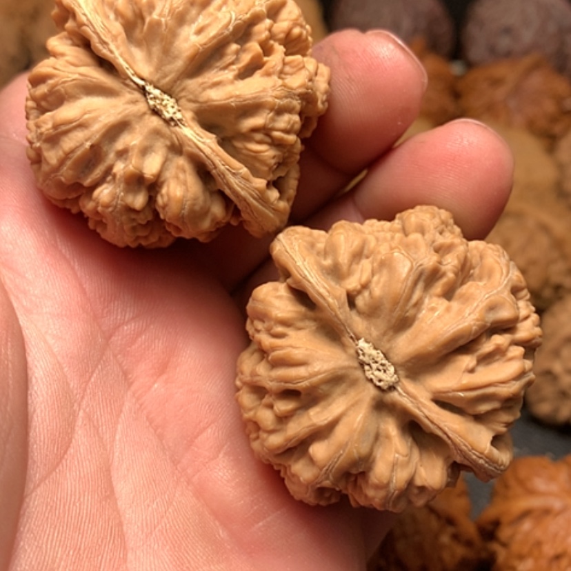 【闪购商品】把件文玩核桃?**多大错筋