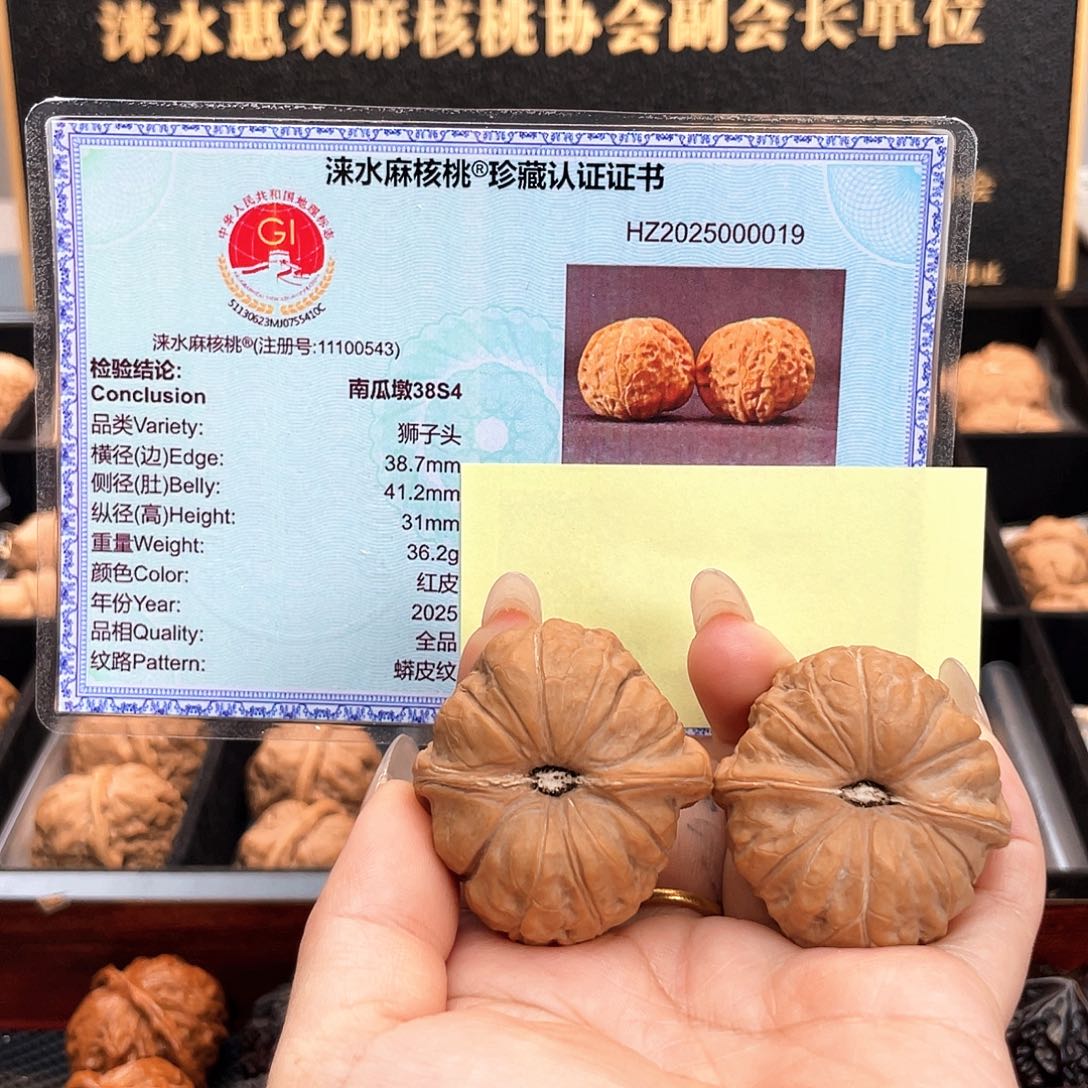 把件文玩核桃38南瓜全品近圆深凹底大肉纹近正38S4