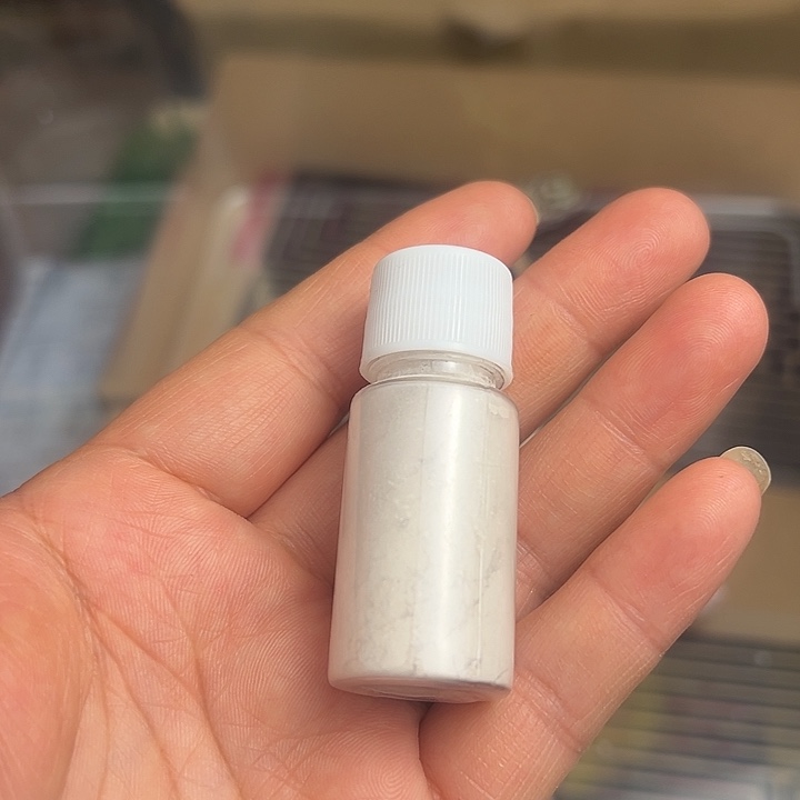 若***愚豹纹守宫10克钙维粉