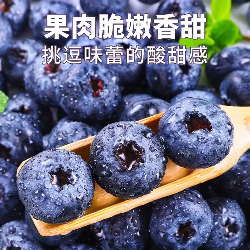 【次日达】丹东蓝莓L25鲜果15mm-22mm新鲜应季水果现货400g/盒泡沫箱顺丰包邮同城好吃丹东L25辽宁省丹东市