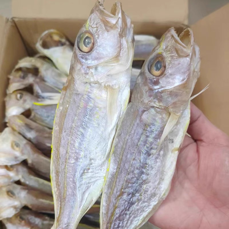 北海金线鱼干 咸鱼干 带头海鲜干货 金丝鱼咸鱼干