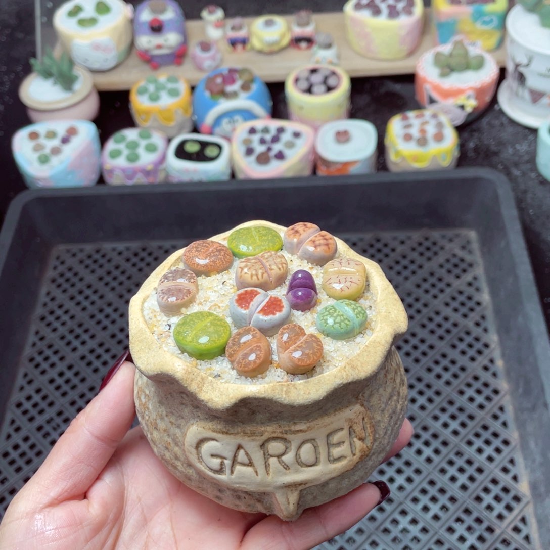 w5264 -零下地区拍保温箱-15支持寄养