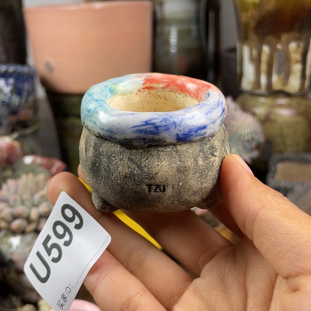 默认微次 元旦福利 坛子姐花盆
