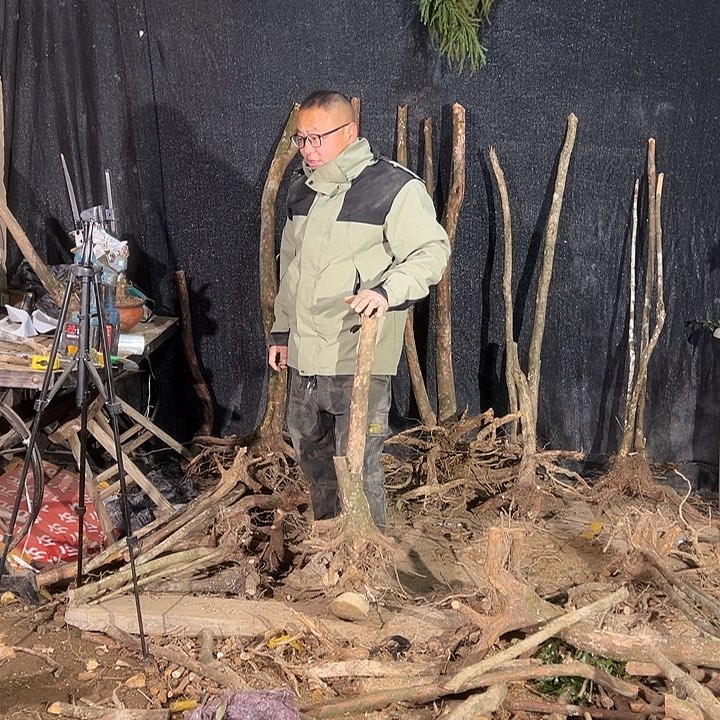 无花朵我们的目标是成为一