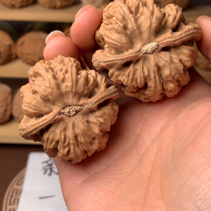 大****粗筋23个多肉组合装好