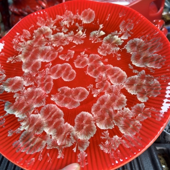 碟本店消费满二十包包邮的