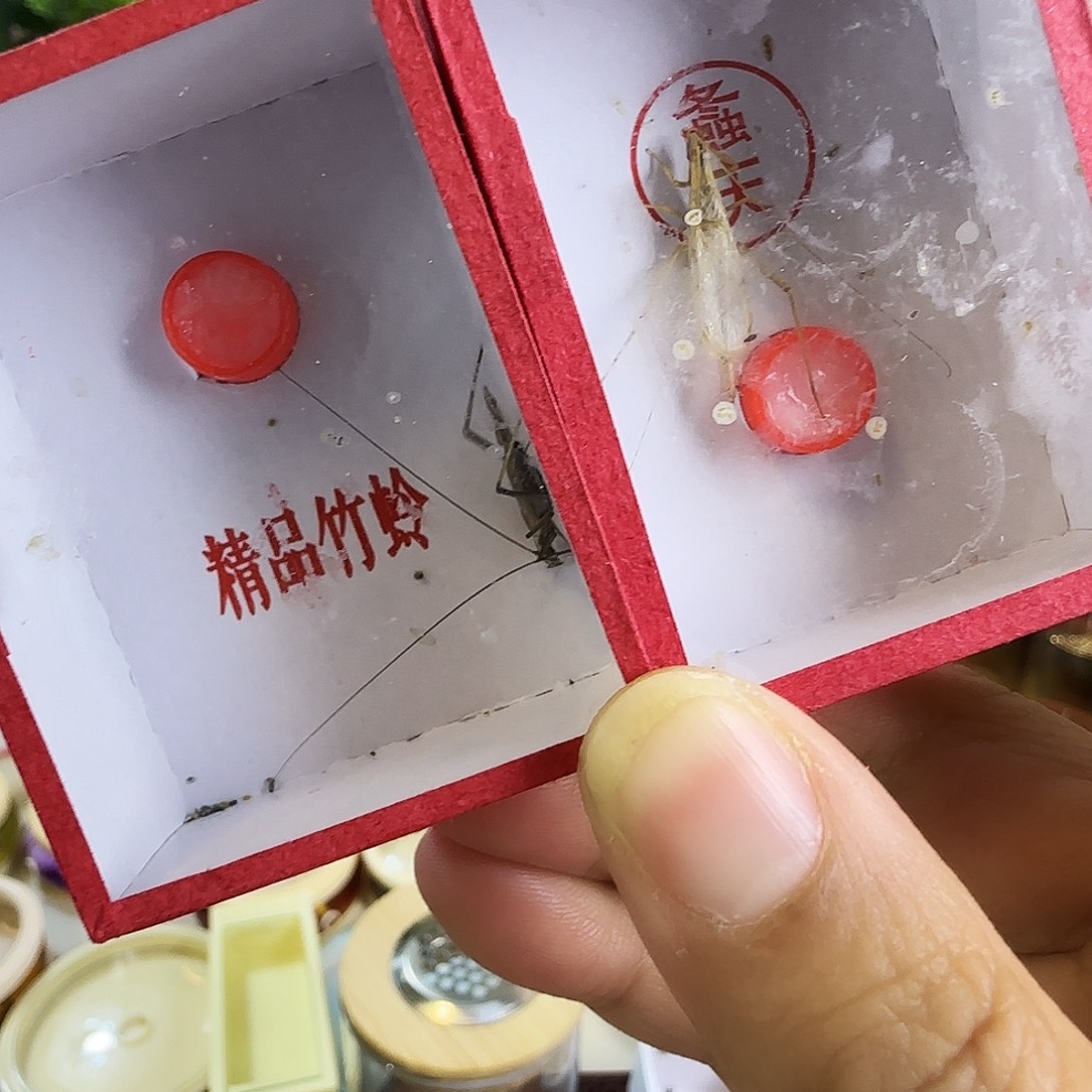 紫竹➕柬竹中须3333333