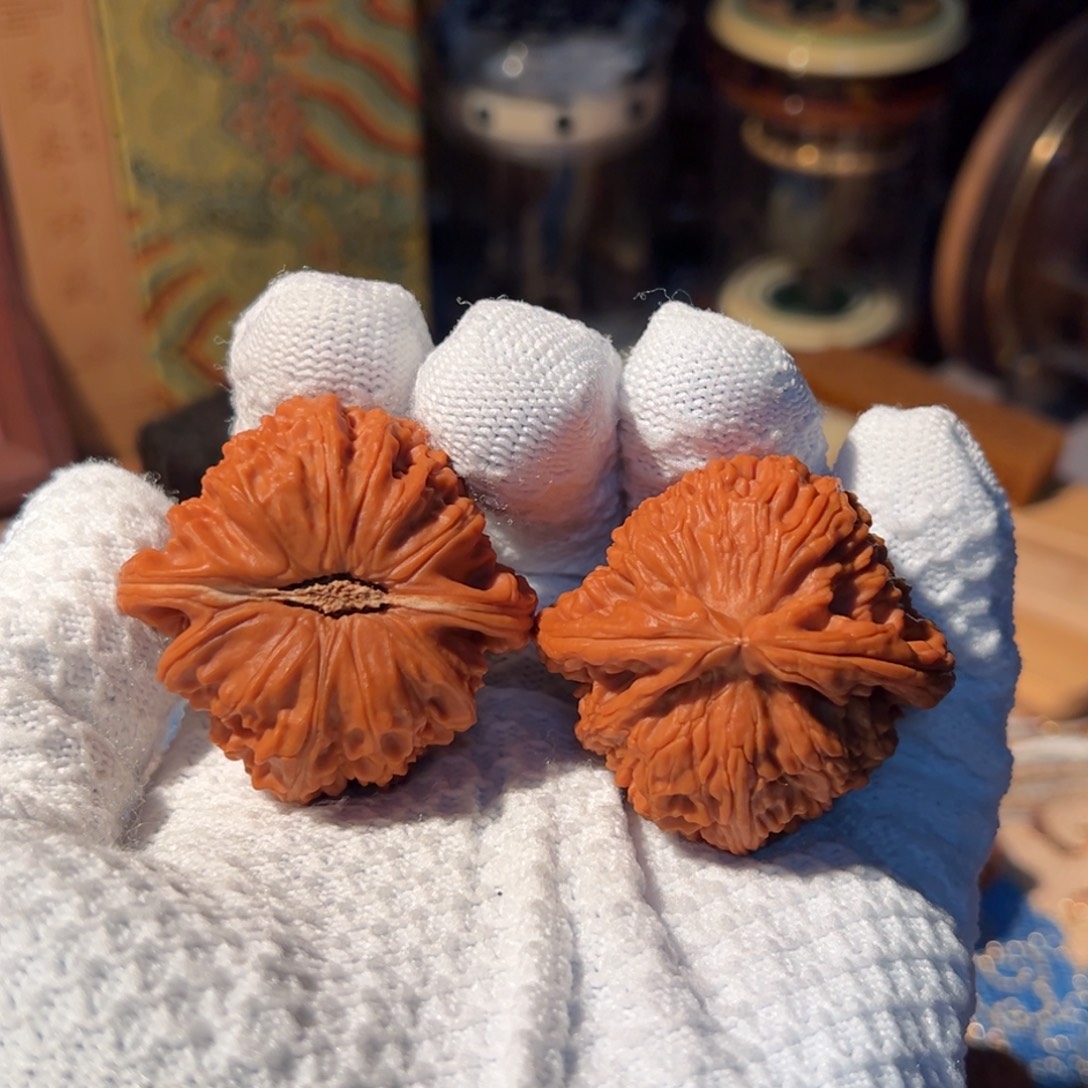 把件文玩核桃全品卡姿兰白狮子43