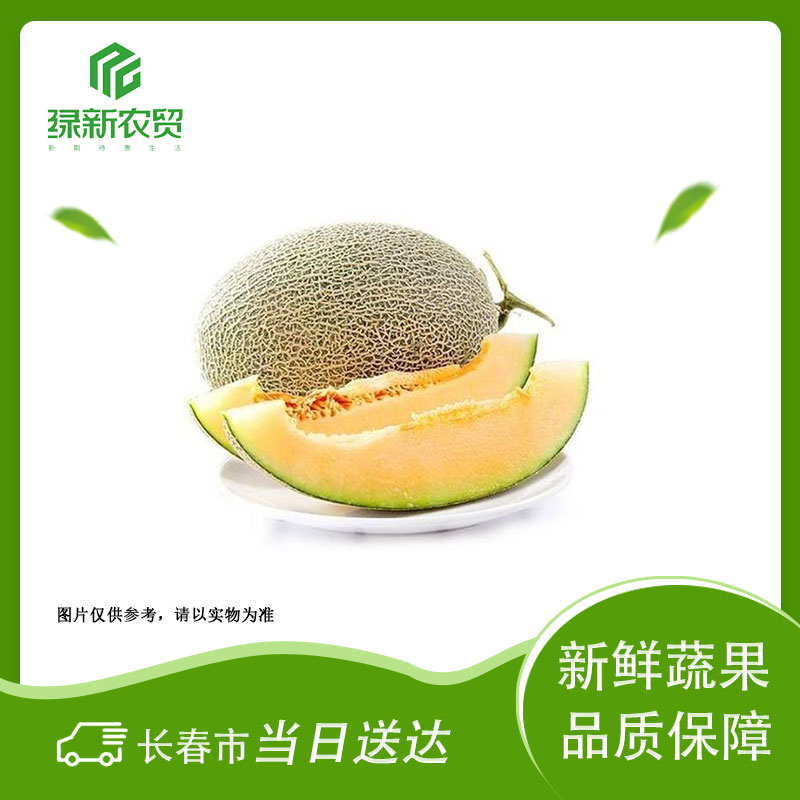 哈密瓜 约1900g-2000g/个山东省